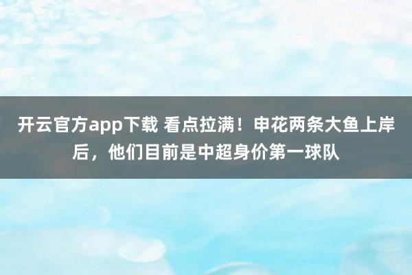 开云官方app下载 看点拉满！申花两条大鱼上岸后，他们目前是中超身价第一球队