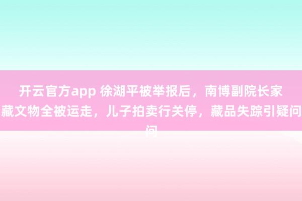 开云官方app 徐湖平被举报后，南博副院长家藏文物全被运走，儿子拍卖行关停，藏品失踪引疑问