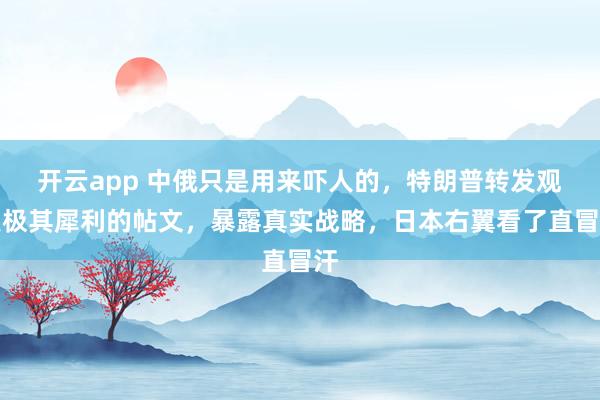 开云app 中俄只是用来吓人的，特朗普转发观点极其犀利的帖文，暴露真实战略，日本右翼看了直冒汗
