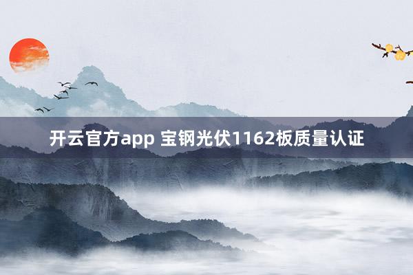 开云官方app 宝钢光伏1162板质量认证